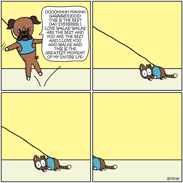 This Artist Makes Fun Comics That Cat Owners Will Understand Very Well