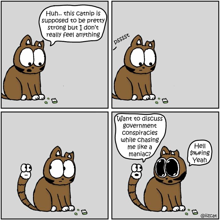 This Artist Makes Fun Comics That Cat Owners Will Understand Very Well