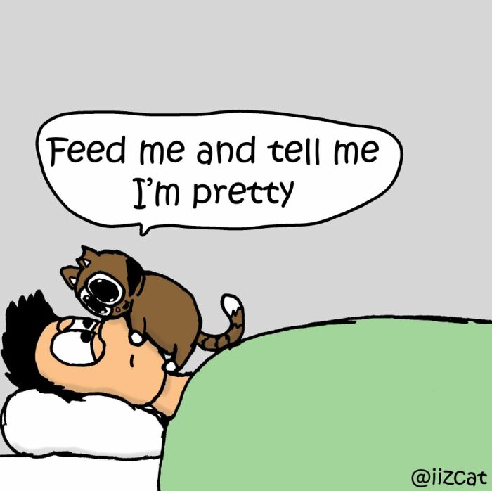 This Artist Makes Fun Comics That Cat Owners Will Understand Very Well