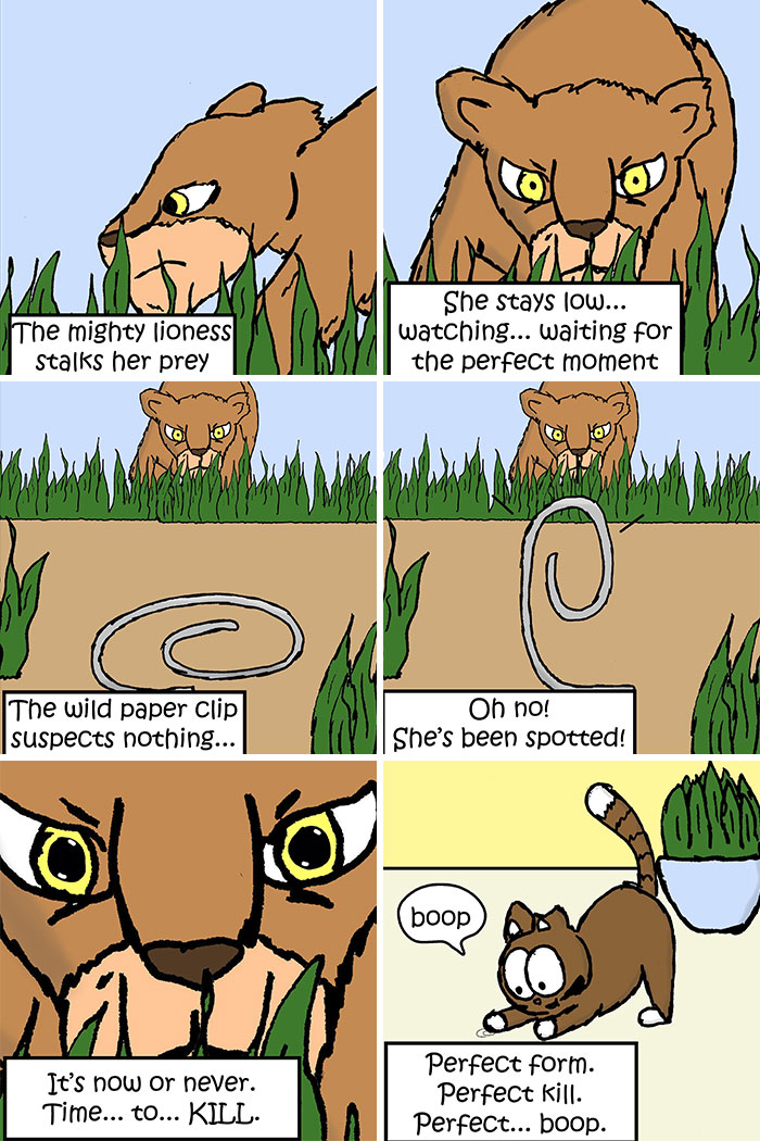 This Artist Makes Fun Comics That Cat Owners Will Understand Very Well