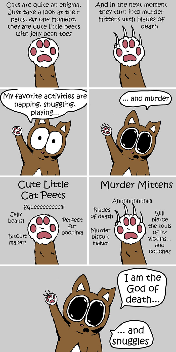This Artist Makes Fun Comics That Cat Owners Will Understand Very Well