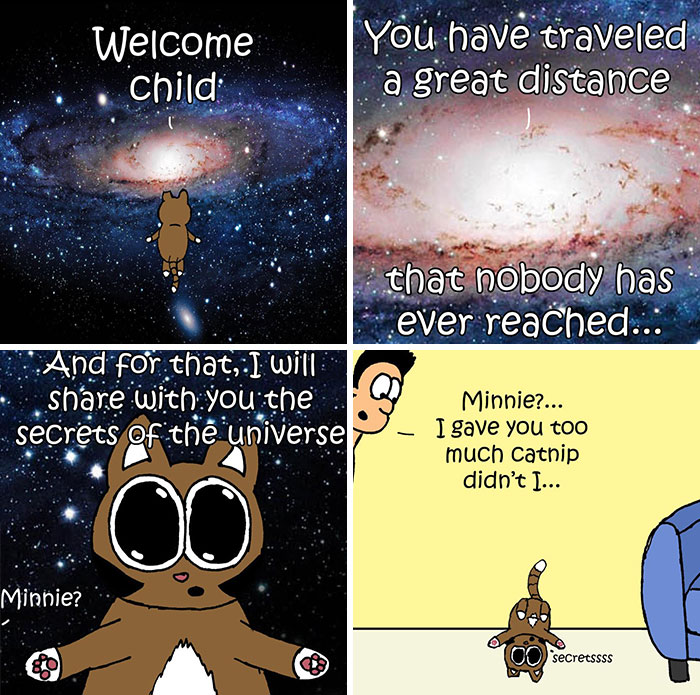 This Artist Makes Fun Comics That Cat Owners Will Understand Very Well