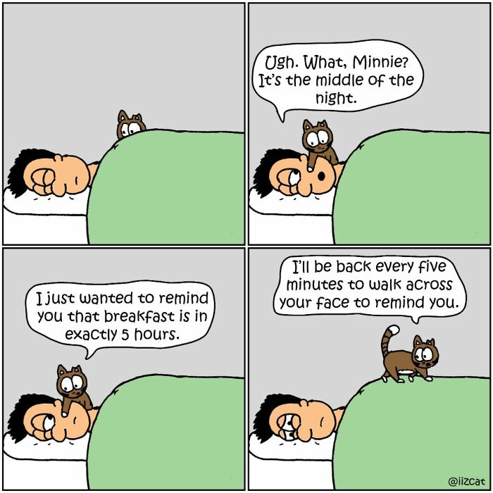 This Artist Makes Fun Comics That Cat Owners Will Understand Very Well