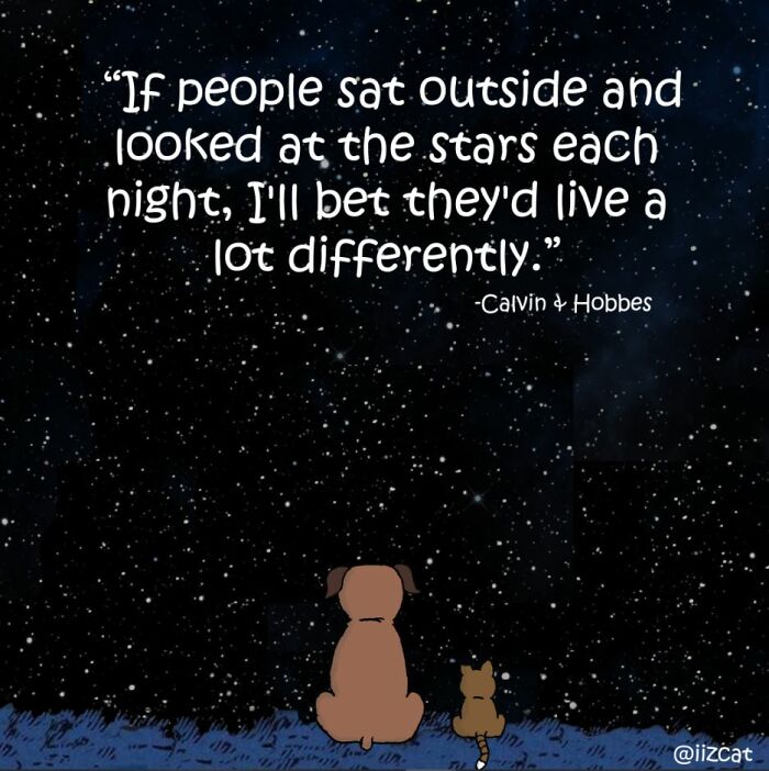 This Artist Makes Fun Comics That Cat Owners Will Understand Very Well