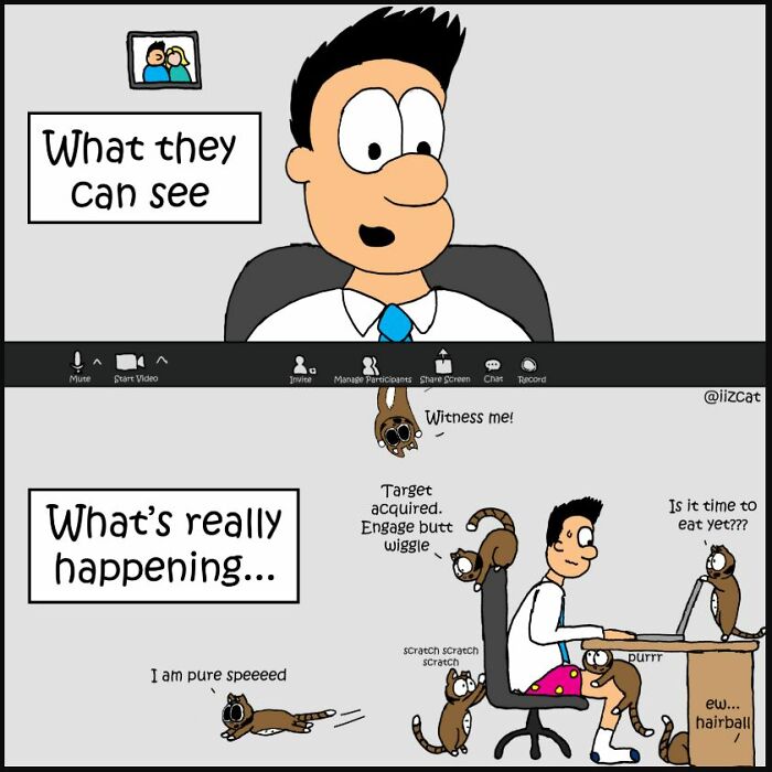 This Artist Makes Fun Comics That Cat Owners Will Understand Very Well