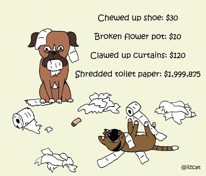 This Artist Makes Fun Comics That Cat Owners Will Understand Very Well