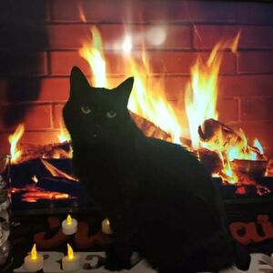 vitaburkaityt avatar