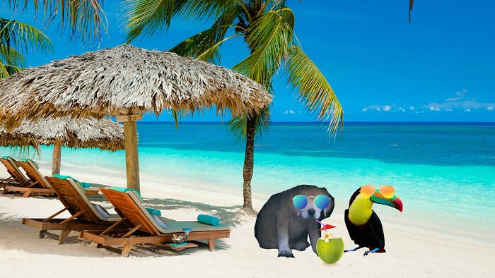 He Just Needed A Vacation With His Coworker.