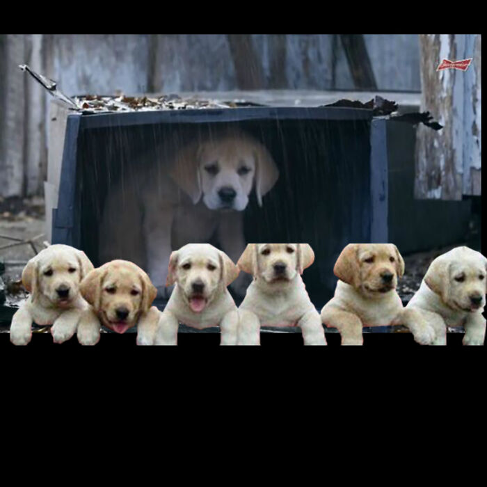 He's Choosing A Personality...