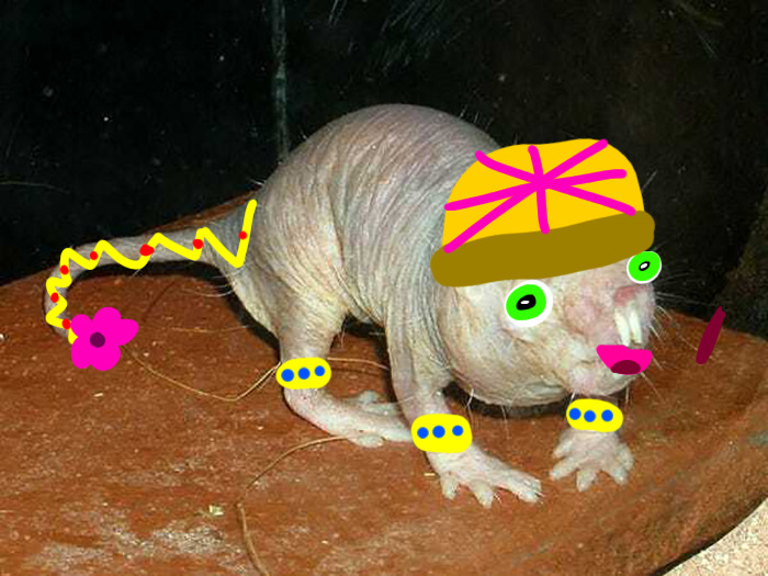 I Think I Failed With The Eyes