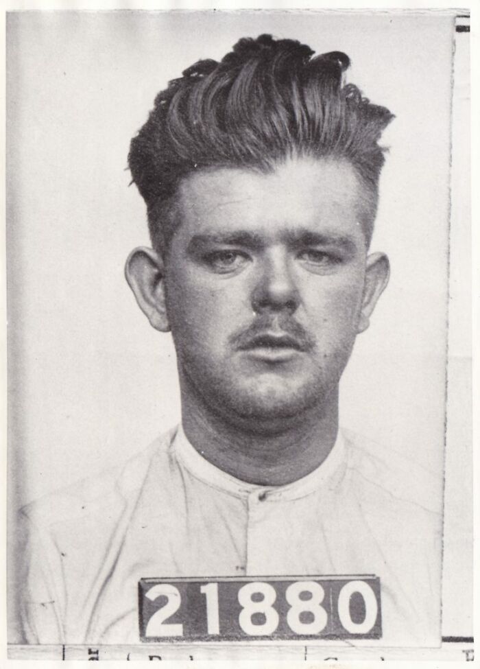 Curious Vintage Hair By Robert E. Jackson