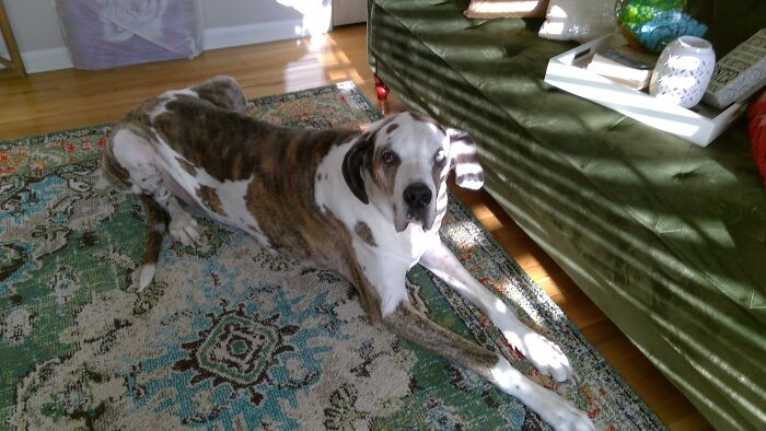 Murphy, My Big Baby.