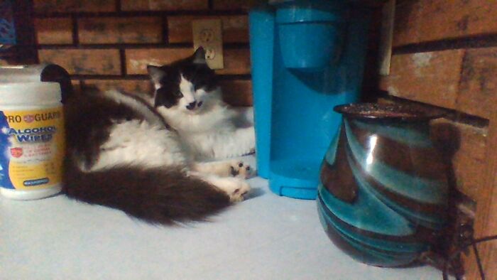 Somebody Likes Coffee...