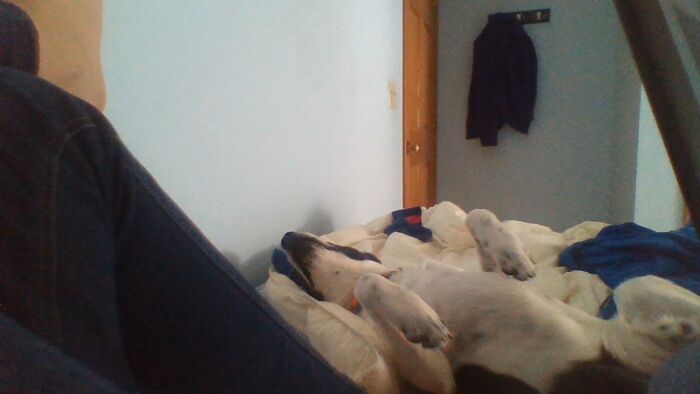 My Doggo Sonny Acting Like A Total Goofball ;)