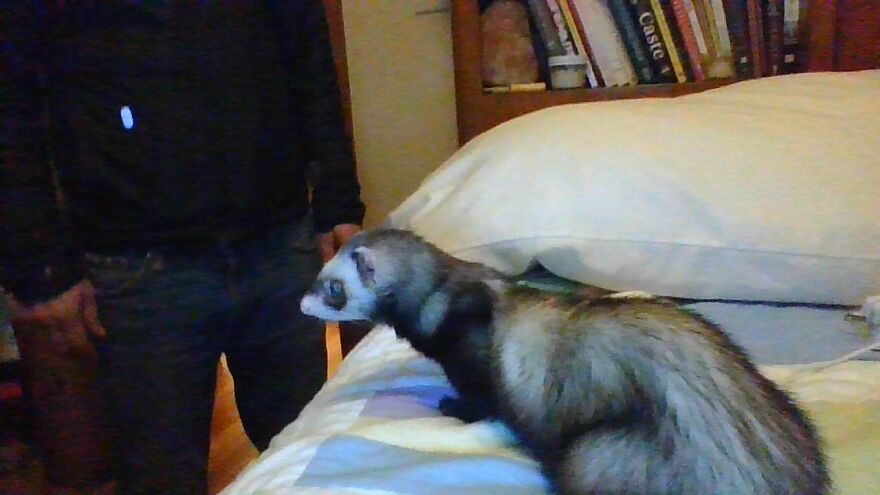 Noodle After The Food