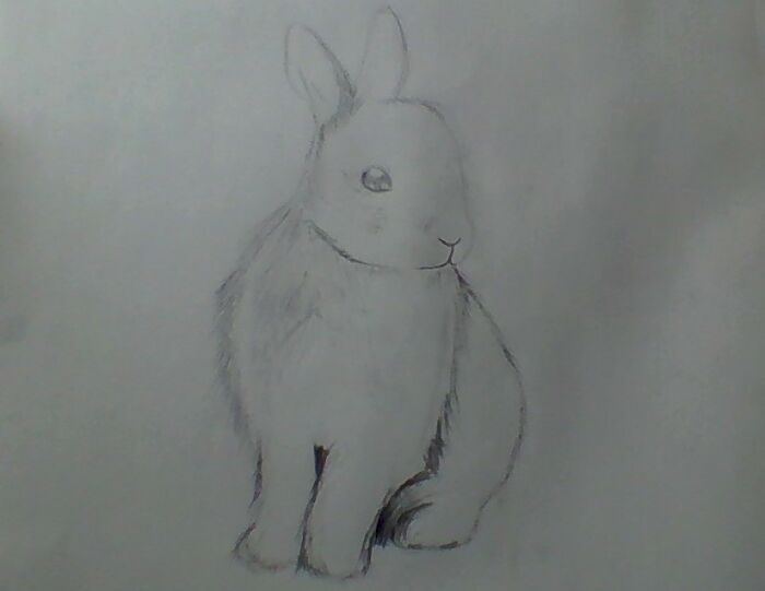 I Did This The Day Before My 13th Birthday Lol