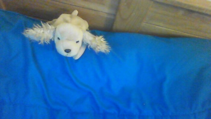 I Always Wanted A Beanie Baby . I Got This Baby For Christmas