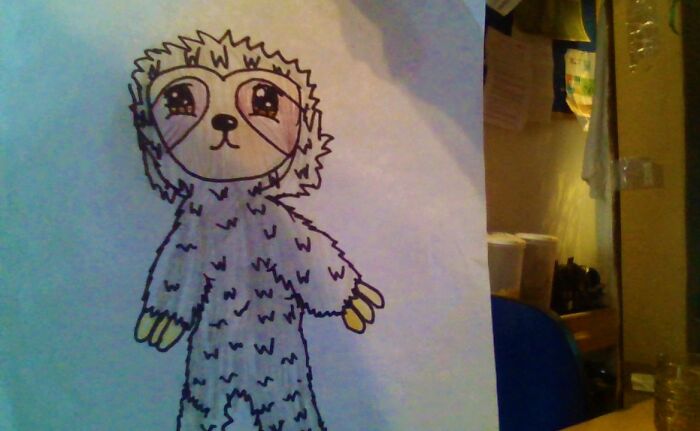 Sorry Bout Background But This Is My Sloth