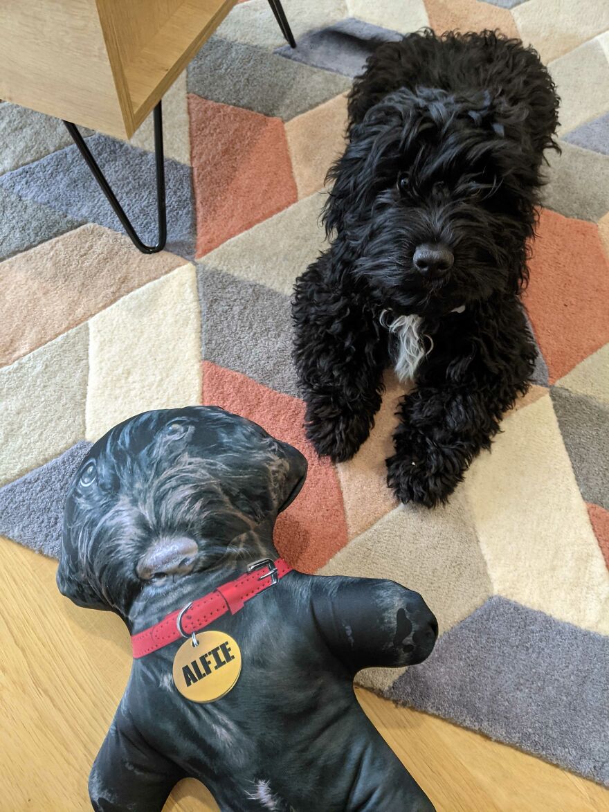 Alfie's The One On The Left... No, Right... No...