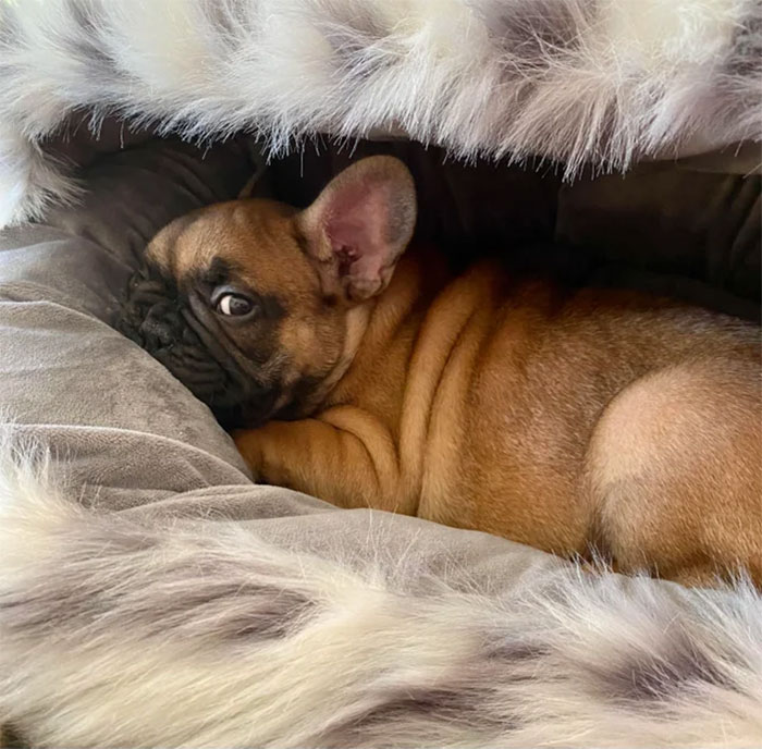 We Welcomed William Into Our Family Yesterday!