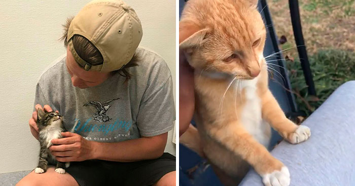 50 Most Wholesome Rescue Pet Photos Of The Month (February Edition)