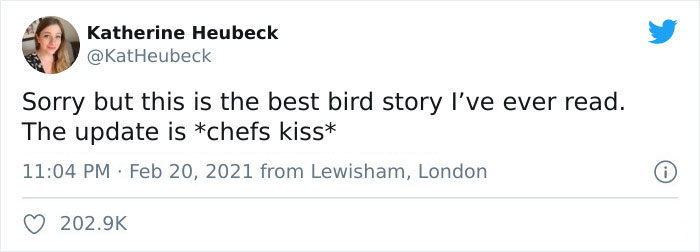 Woman Shares How Feeding And Creating An 'Army Of Crows' Near Her House Possibly Saved This Neighbor's Life