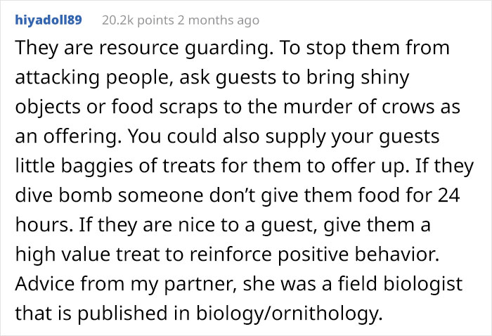 Woman Shares How Feeding And Creating An 'Army Of Crows' Near Her House Possibly Saved This Neighbor's Life Woman Shares How Feeding And Creating An 'Army Of Crows' Near Her House Possibly Saved This Neighbor's Life