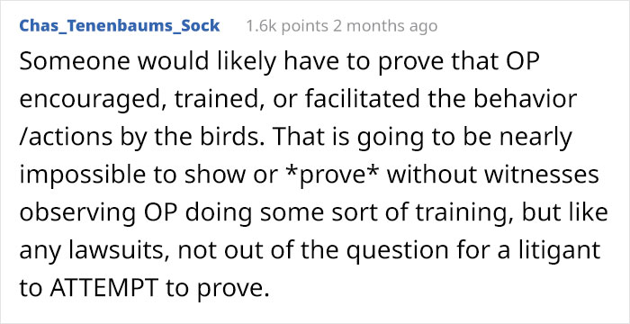 Woman Shares How Feeding And Creating An 'Army Of Crows' Near Her House Possibly Saved This Neighbor's Life