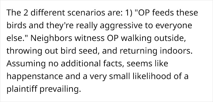 Woman Shares How Feeding And Creating An 'Army Of Crows' Near Her House Possibly Saved This Neighbor's Life