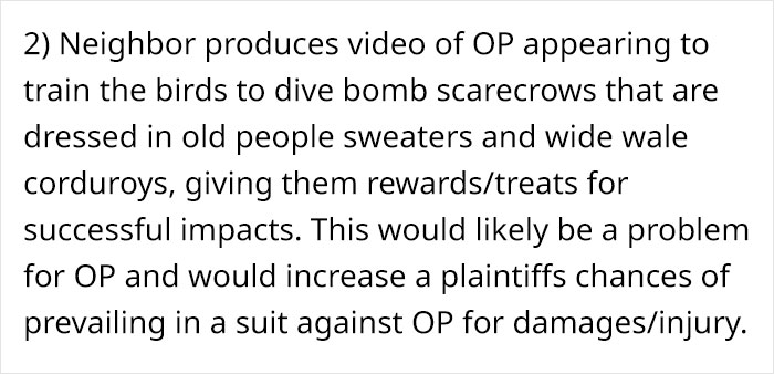 Woman Shares How Feeding And Creating An 'Army Of Crows' Near Her House Possibly Saved This Neighbor's Life