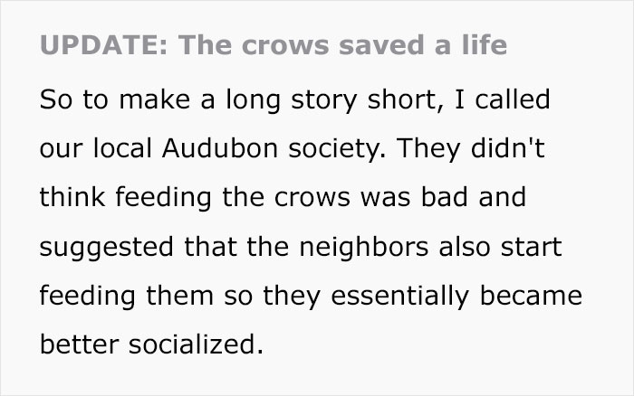Woman Shares How Feeding And Creating An 'Army Of Crows' Near Her House Possibly Saved This Neighbor's Life