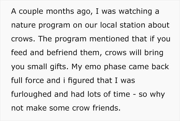 Woman Shares How Feeding And Creating An 'Army Of Crows' Near Her House Possibly Saved This Neighbor's Life