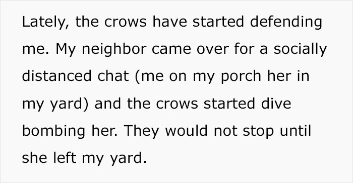 Woman Shares How Feeding And Creating An 'Army Of Crows' Near Her House Possibly Saved This Neighbor's Life Woman Shares How Feeding And Creating An 'Army Of Crows' Near Her House Possibly Saved This Neighbor's Life