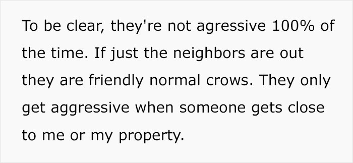 Woman Shares How Feeding And Creating An 'Army Of Crows' Near Her House Possibly Saved This Neighbor's Life