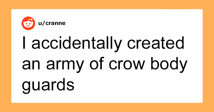 Woman Shares How Feeding And Creating An ‘Army Of Crows’ Near Her House Possibly Saved This Neighbor’s Life