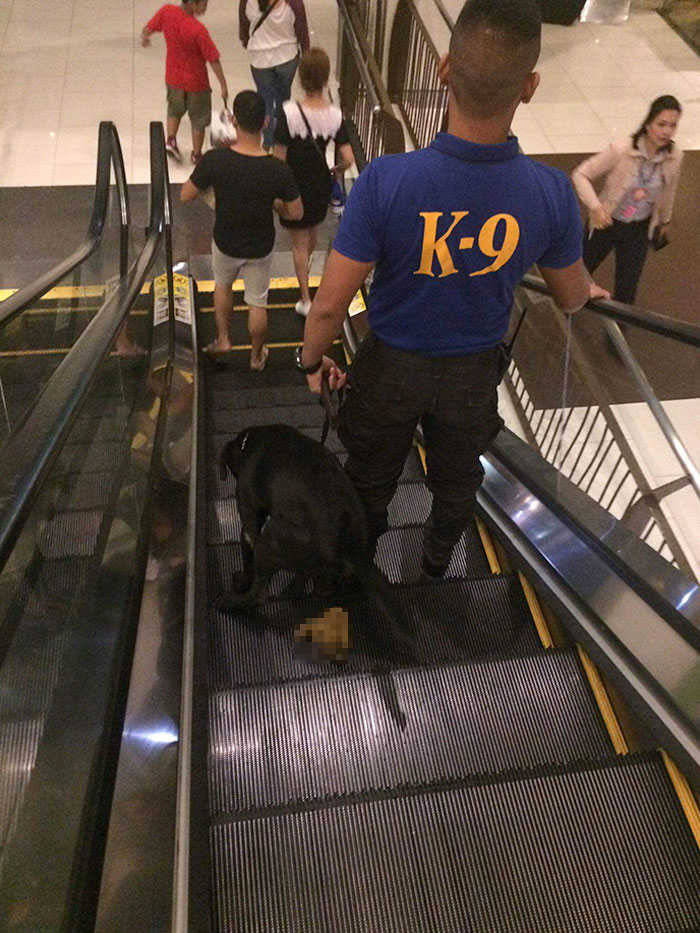 Some Escalator Technician Had Their Day Completely Ruined
