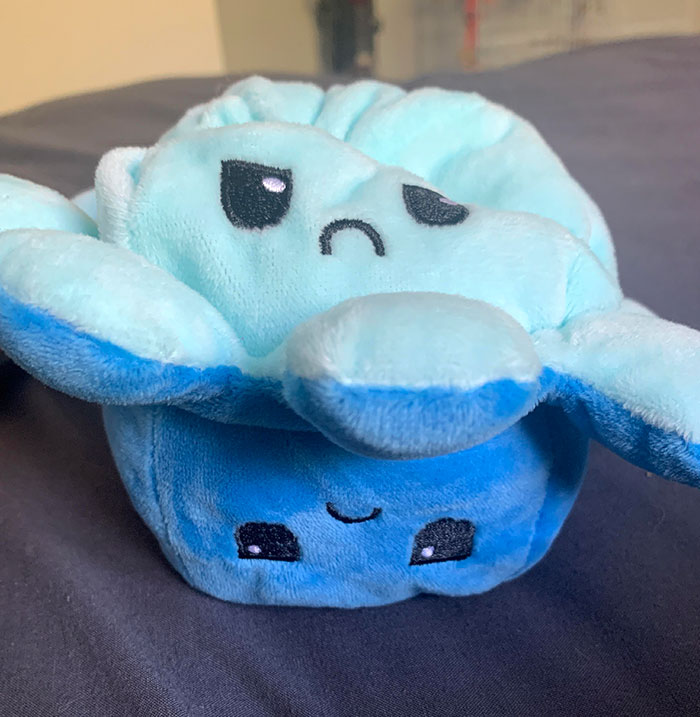 I Ordered A Happy Sad Octopus, Both Sides Came Sad