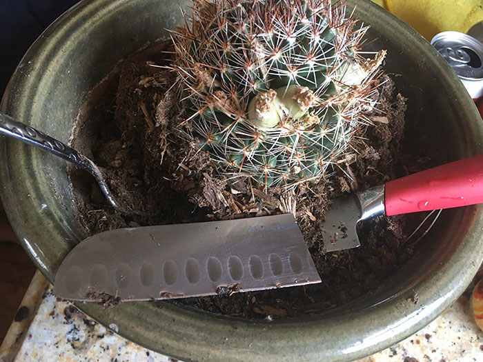 The Husband Used My Favorite Knife As A Garden Tool