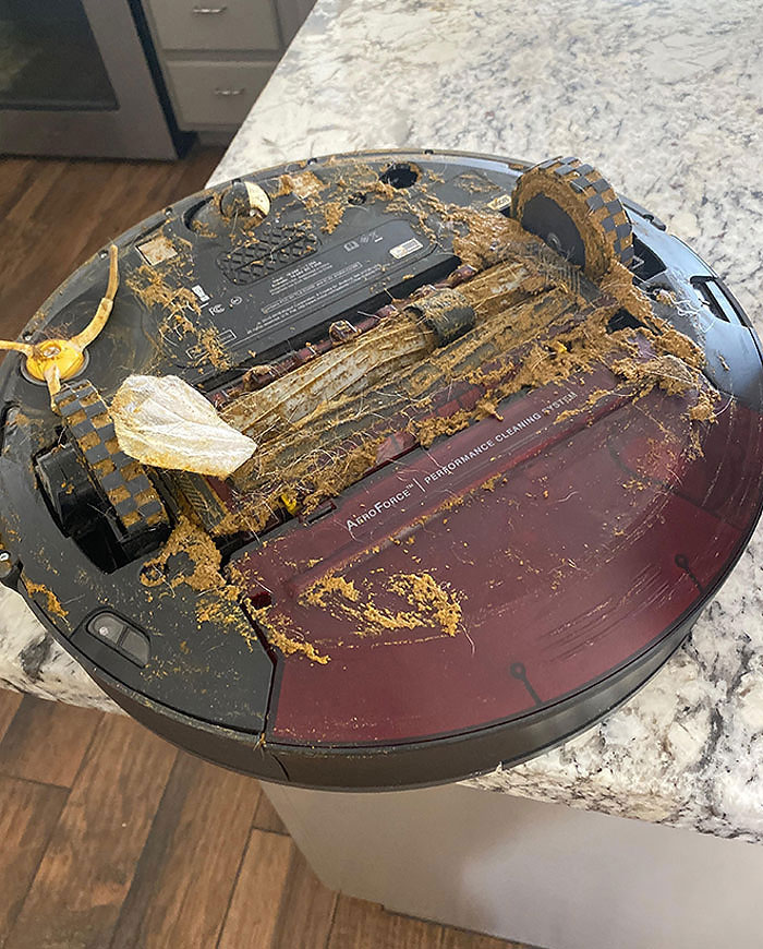 The Roomba Ran Over Our Dog's Poop