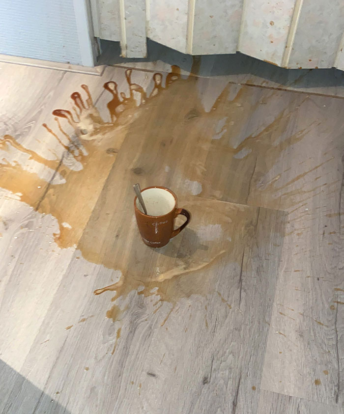 I Fell, Cup Stuck The Landing But Broke Underneath