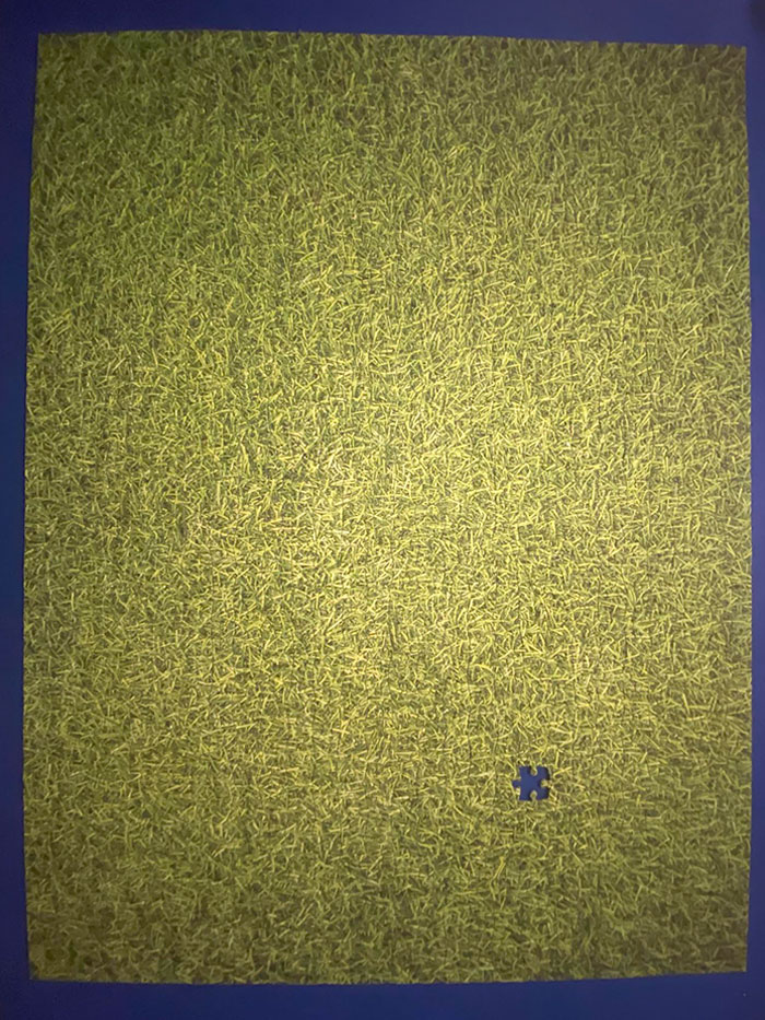 Girlfriend Spent 2 Years On This, Only To Discover One Piece Missing