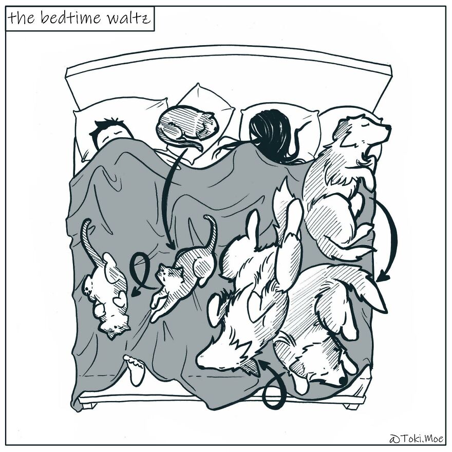 Relatable Comics That Sum Up The Simple Beauty Of Living With Our Pets!