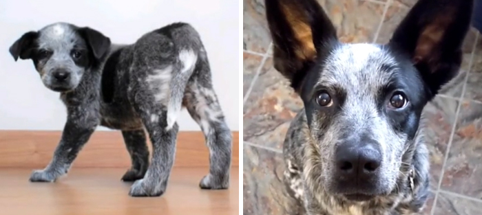 And That's On Being Sassy