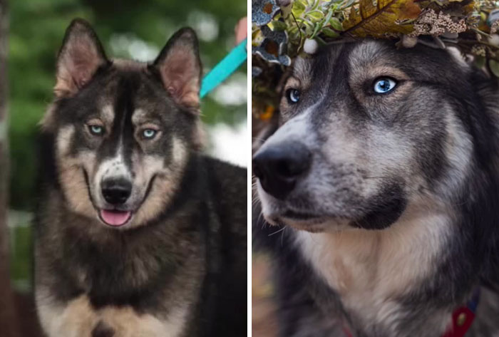 I Will Love You Forever