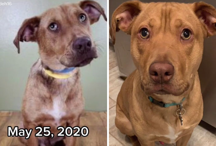 I Rescued Him And He Rescued Me