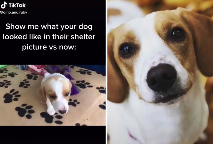 From The Streets Of Cyprus To Livin’ The Good Life In Germany