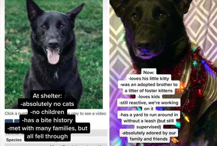 We’re Still Working On Some Things, But He’s Been Ours Since We Saw Him