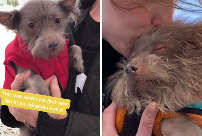 He Looks Like A Completely Different Boy