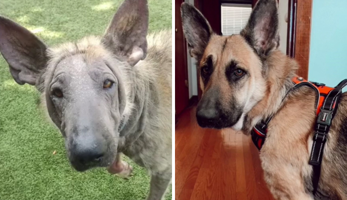 Pandora Became Penny!