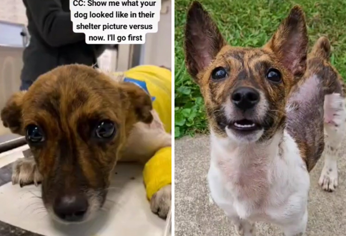 Tater Tot's Story Just Fits So Well With These Trend